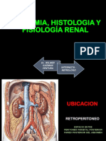 1 Anatomia e Histologia Renal UNT PDF