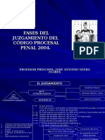 Fases Del Juicio Oral NCPP 2004