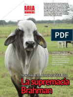 Pecuaria y Negocios - Ano 12 - Numero 142 - Mayo 2016 - Paraguay - Portalguarani