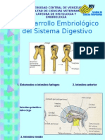 Desarrollo Embriológico Tgi