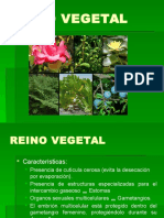 Reino Vegetal 2014