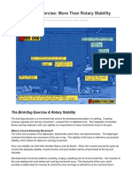 Bird-Dog Exercise More Than Rotary Stability PDF