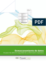 Guía Enmascaramiento de Datos PDF