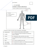 Exercícios Sobre o Sistema Nervoso 1