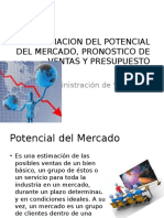 Tema I. Estimacion Del Potencial Del Mercado