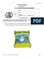 Act 1 W Ks Cell Structure Organelles