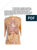 Surface Anatomy, Position and Radiologic Anatomy