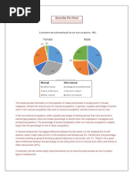 Describe Pie Chart