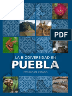 Bio Divers I Dad en Puebla