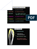 Oral Histology Compendium