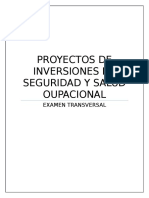 Proyectos de Inversiones de Seguridad y Salud Oupacional