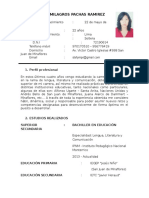 Estefany Milagros Pachas Ramirez: 1. Perfil Profesional