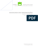 Sociologia Das Organizações