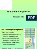 Eukaryotic Organism: Premedical IV