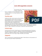 Thread Worm (Strongyloides Ransomi) : The Life Cycle