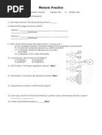 Meiosis Worksheet