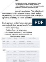 The Sensorimotor System