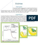 Resumo Bioquímica Enzimas