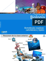 Clase 3 Biomoléculas Orgánicas Carbohidratos y Lípidos 2015