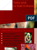 Instincts and Learned Behaviors Powerpoint