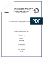 Regulación Molecular Del Desarrollo de Los Musculos