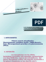 Clase 12. Generos Mycoplasma y Urea Plasma 2009.