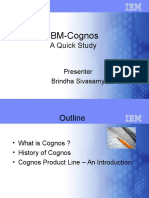 Cognos Product Line Overview