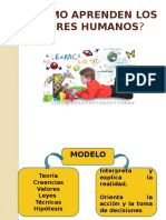 Cómo Aprenden Los Seres Humanos