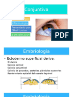 Conjuntiva