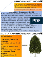 1 L4 - A Caminho Da Maturidade