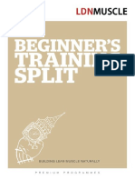 LDNM Beginners Guide PDF