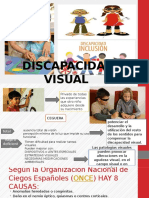 Discapacidad-Visual Con Videos 2016