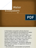 Freshwater Ecosystem