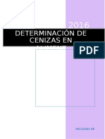 Ceniza en Alimentos PDF Fin