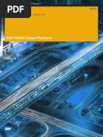 SAP HANA Cloud Platform