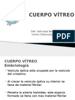 Cuerpo Vítreo Anatomia