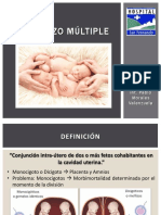 Embarazo Gemelar PDF