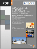 Ejecucion de Auditoria Egesur S.A. Final. Ejemplo