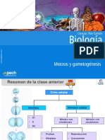 Clase 11 Meiosis y Gametogénesis 2015