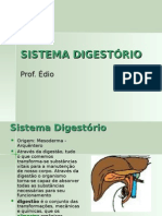 Biologia PPT - Sistema Digestorio