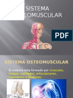 Sistema Osteomuscular