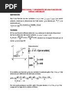 Derivada Direccional y Gradiente