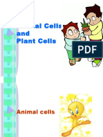 Animal and Plant Cell