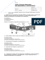 Prueba Ciencias Naturales 8°