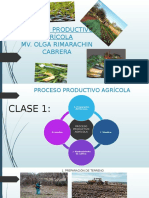 Proceso Productivo Agrícola