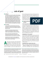 Pathogenesis of Gout