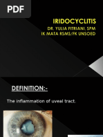 Yl IRIDOCYCLITIS