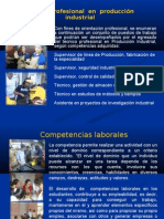 Competencias Laborales