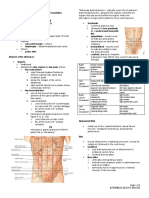 3.1 Anterior Abdominal Wall (Bea)