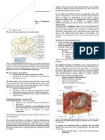 3.2 Peritoneal Cavity and The Esophagus (Banez)